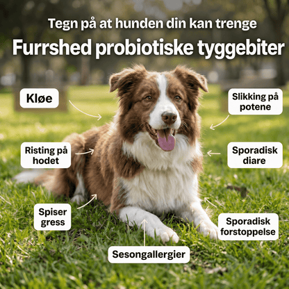 Furrshed GutCare™